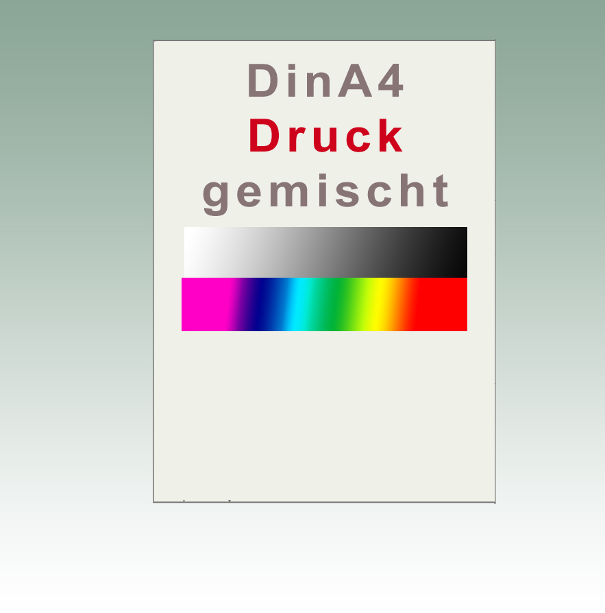 Druck DinA4 s/w und farbig 