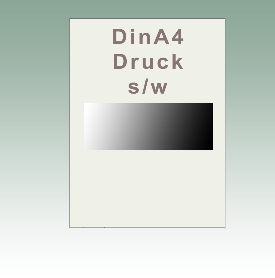 Druck DinA4 s/w