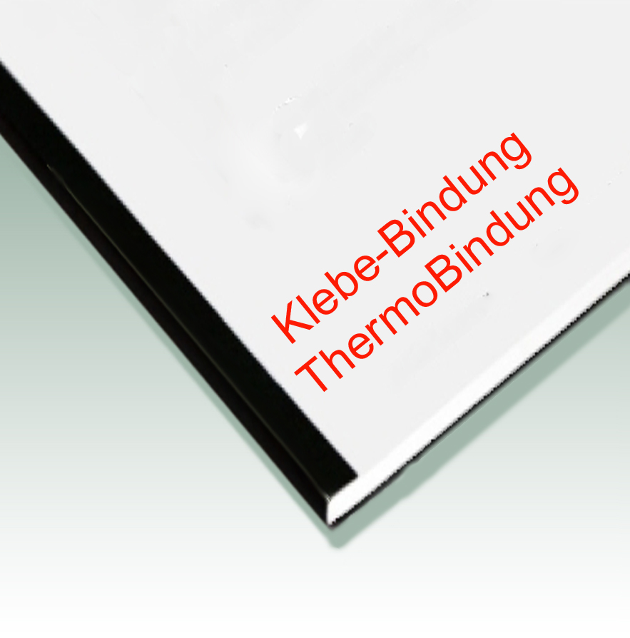 Druck DinA4 mit Thermobindung 